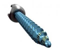 Thoracolumbar Fixation